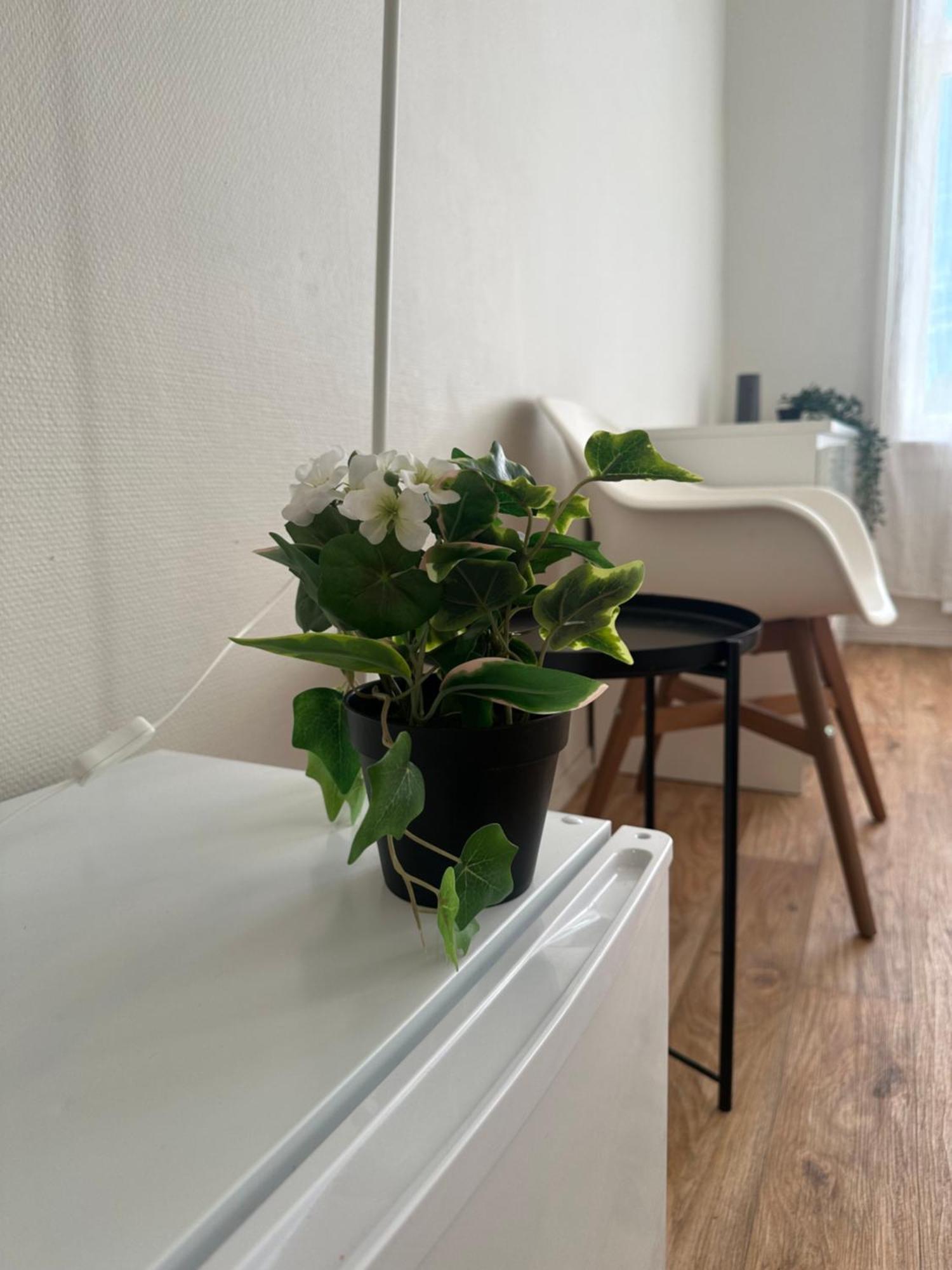 The Bloom Apartments Oslo Zewnętrze zdjęcie